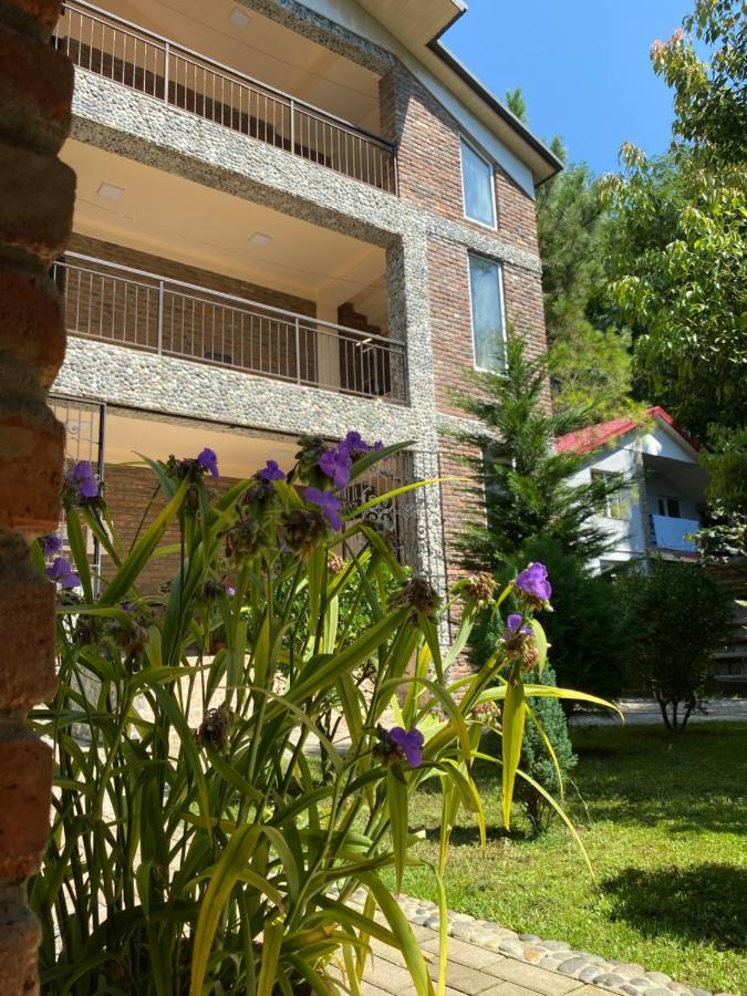 Guest House Shekvetili Exterior foto