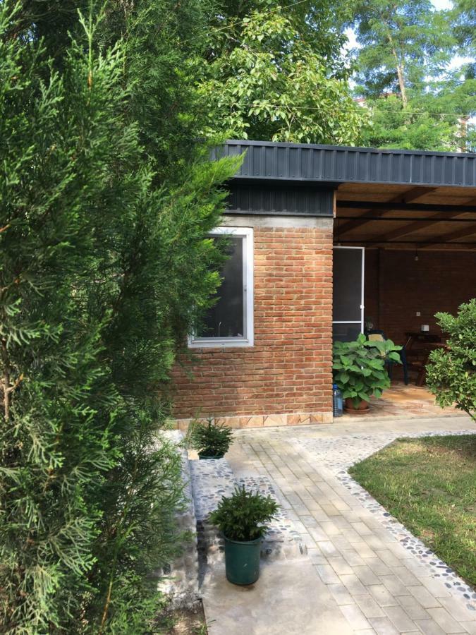 Guest House Shekvetili Exterior foto